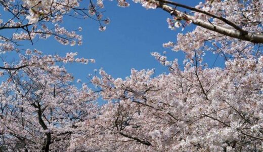 想い出のアルバム　九州旅行２日目　熊本